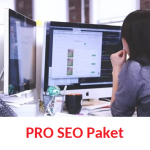 Webseiten SEO PRO Paket Google Ranking 2 Jahres ABO