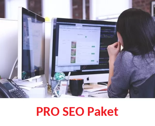Webseiten SEO PRO Paket Google Ranking 2 Jahres ABO