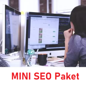 mini seo paket
